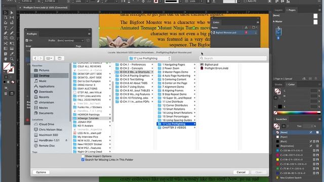 Using the Preflight Panel in InDesign смотреть онлайн