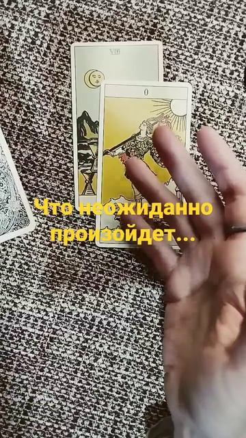 Растения и их мир