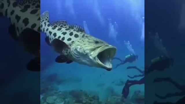 Страсти морские смотреть онлайн