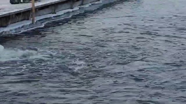 26-02-2025 смотреть онлайн