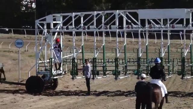 Скачка 2 Майкоп 5.10.2017 смотреть онлайн