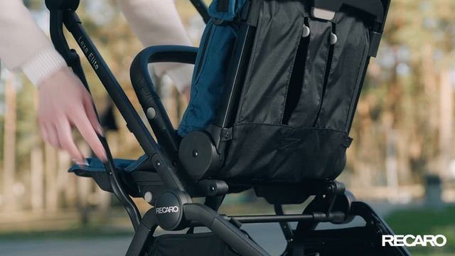 Прогулочная коляска RECARO Lexa Elite смотреть онлайн