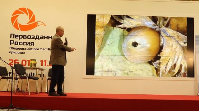 Владимир Карцев, Наши друзья насекомые, часть-2 смотреть онлайн
