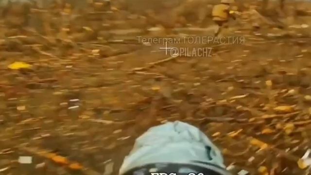 Хохол, пока бежал, успел проклясть Макдональдс и KFC. смотреть онлайн