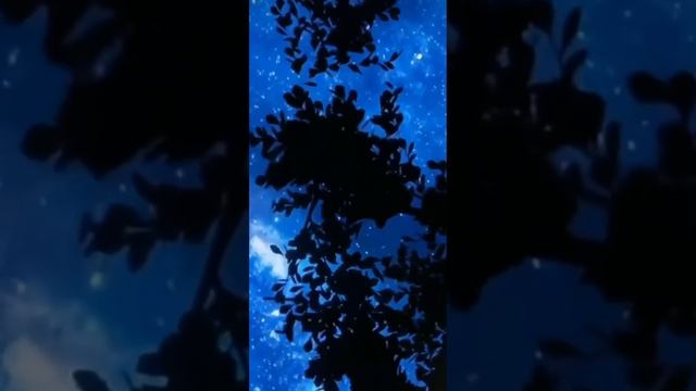 О Аллах ты мой Всевышний спутник.🌙 #Аллах #дуа смотреть онлайн