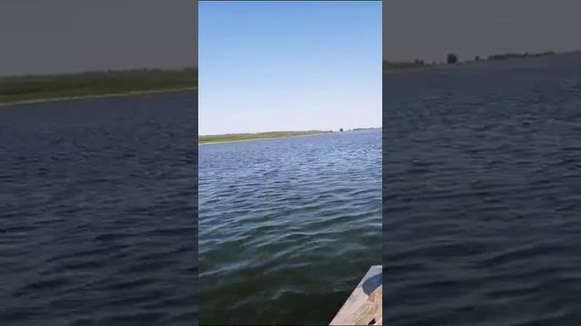 Волга.Никольский Яр. 09.08.2023.Козинка и обстановка. смотреть онлайн