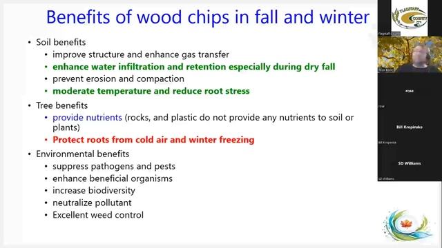 2023 Tree Care Webinar with Toso Bozic смотреть онлайн