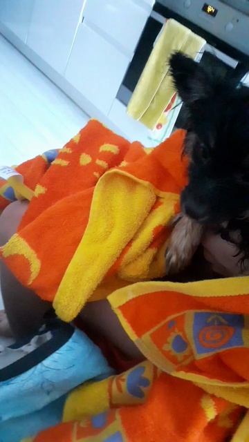 Video.Guru_20250219_123920847.mp4 смотреть онлайн