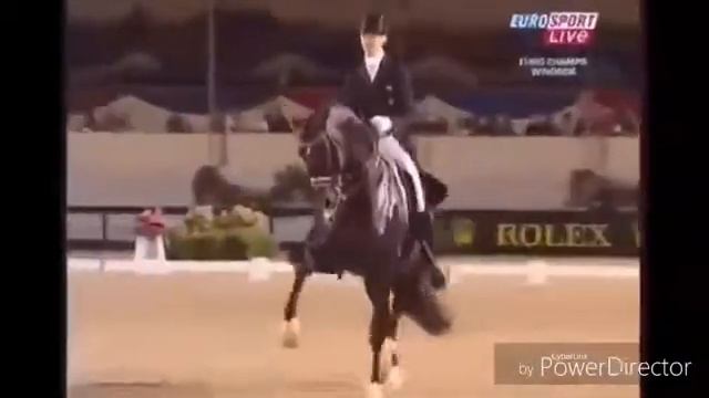 Клип лошади смотреть онлайн