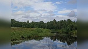Нейросеть поет Николая Гумилева «Среди бесчисленных светил»