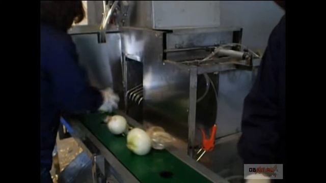 Машина для сухой очистки лука смотреть онлайн