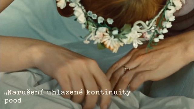 Hodné a šťastné Sedmikrásky смотреть онлайн