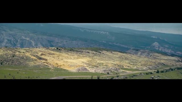 #NATURE2017SHAPIVIDEO#