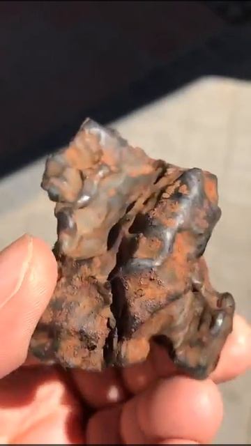 Sikhote Alin iron meteorite with patna natural and hole natural