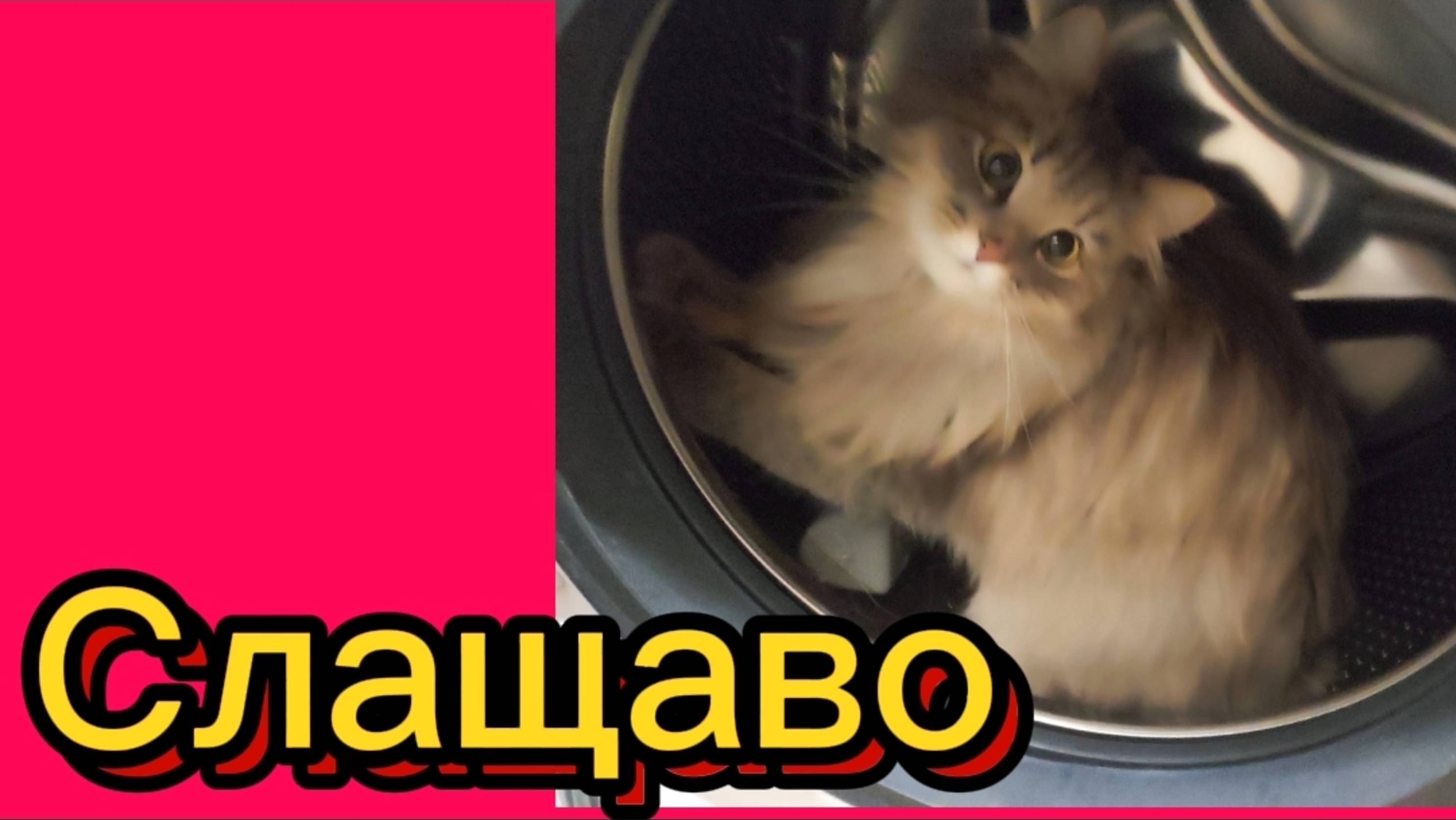 ДЕРЕВЕНСКИЙ ДНЕВНИК. "Умные и талантливые" смотреть онлайн