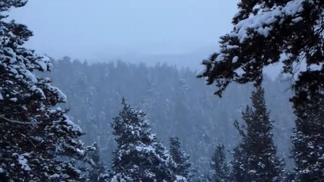 Snow is falling over the forest. Снег идёт над лесом. смотреть онлайн