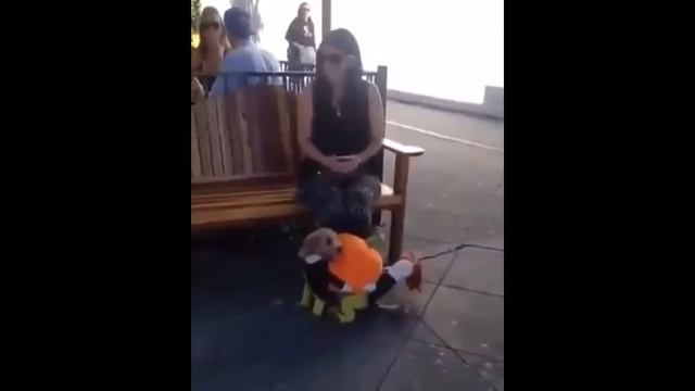 Вот это костюм смотреть онлайн