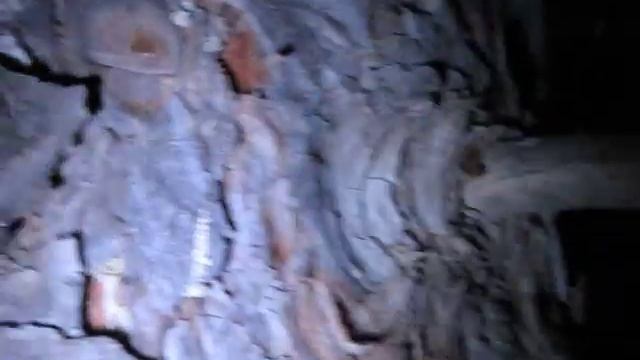 thelope.com - audio of possible Pine Sawyer Beetle смотреть онлайн