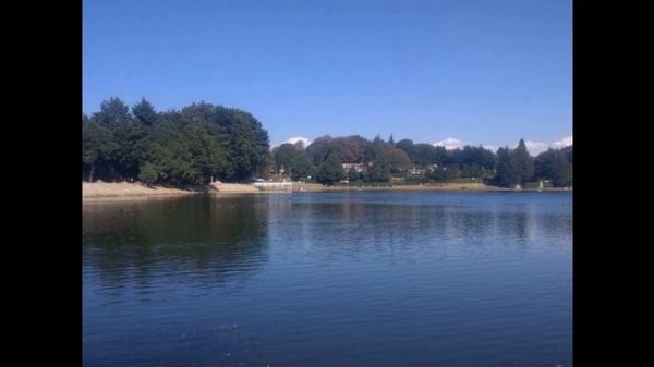 Egg substitutes - Wikipedia Article Audio