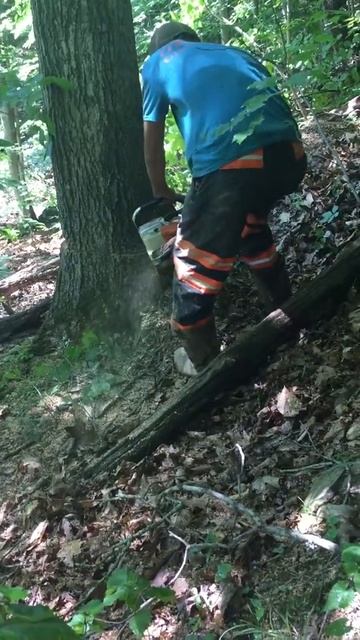 Cutting timber смотреть онлайн