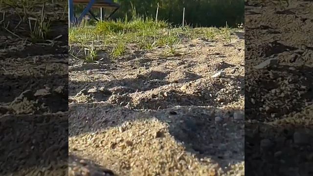 Я искупалась в одежде смотреть онлайн