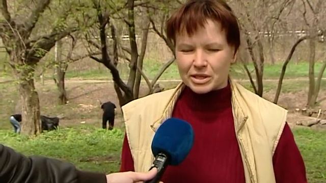 Как мы попали в телевизор смотреть онлайн