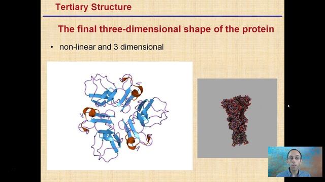 Protein Structure смотреть онлайн
