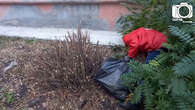 КПРФ на субботнике | Сызрань Объективно