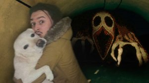 Я ПОШЕЛ ГУЛЯТЬ С СОБАКОЙ НОЧЬЮ и ЭТО ЗАКОНЧИЛОСЬ ПЛОХО!! (The Paddy Field)