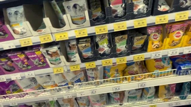 История одного очень голодного кота. Лена Кош. VLOG Калининград смотреть онлайн