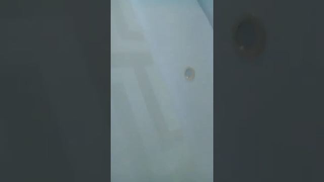 Живут же люди