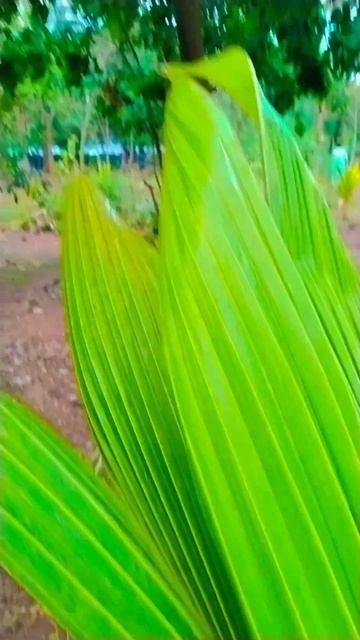 June 17, 2023 смотреть онлайн