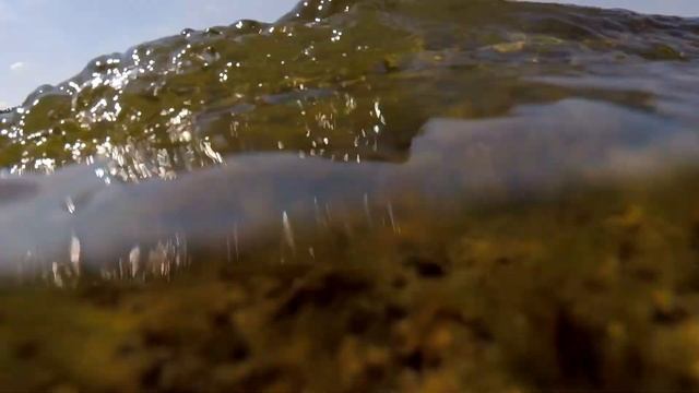 ДюссельдорфLIFE