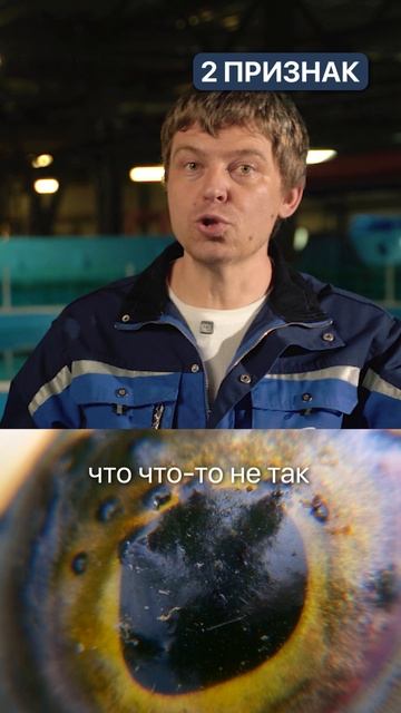 Спаси свою рыбу! Вот 3 признака, что рыбе плохо ☠️ #рыбалка #рыба #рыбы #аквариум #рыбак #узв смотреть онлайн