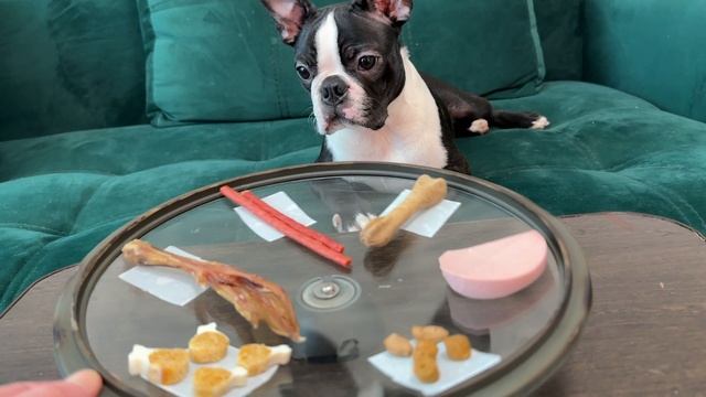 РУЛЕТКА ЧЕЛЛЕНДЖ для Тайсона🤣, что собака выберет из вкусняшек? Бостон собаки животные приколы смотреть онлайн