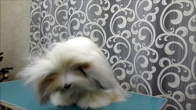 NEW! смотреть онлайн