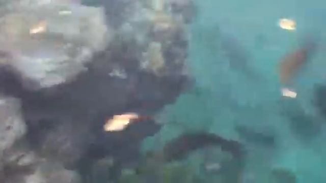 Красное море смотреть онлайн