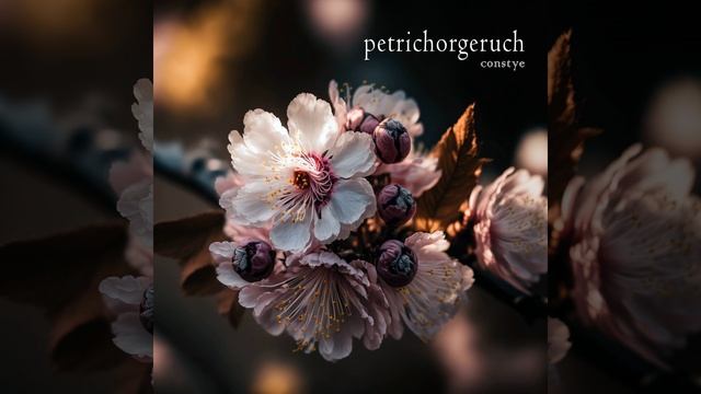 Petrichorgeruch (Acapella) смотреть онлайн