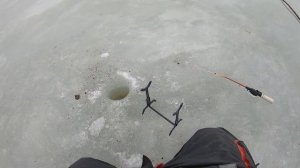 Вот это клёв!!!Крупная плотва весной со льда! Рыбалка на Чудском озере,Meerapalu.