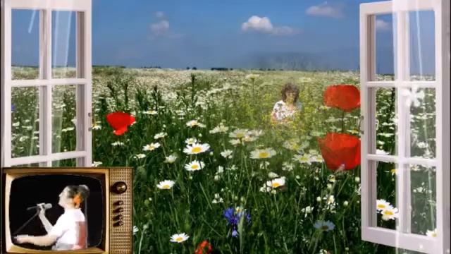 ЕЛЕНА ВАЕНГА. Радуйся, я с тобой! смотреть онлайн