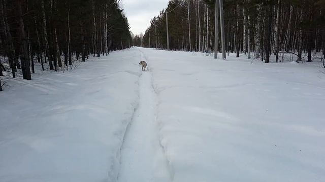 Жизнь Магирани смотреть онлайн
