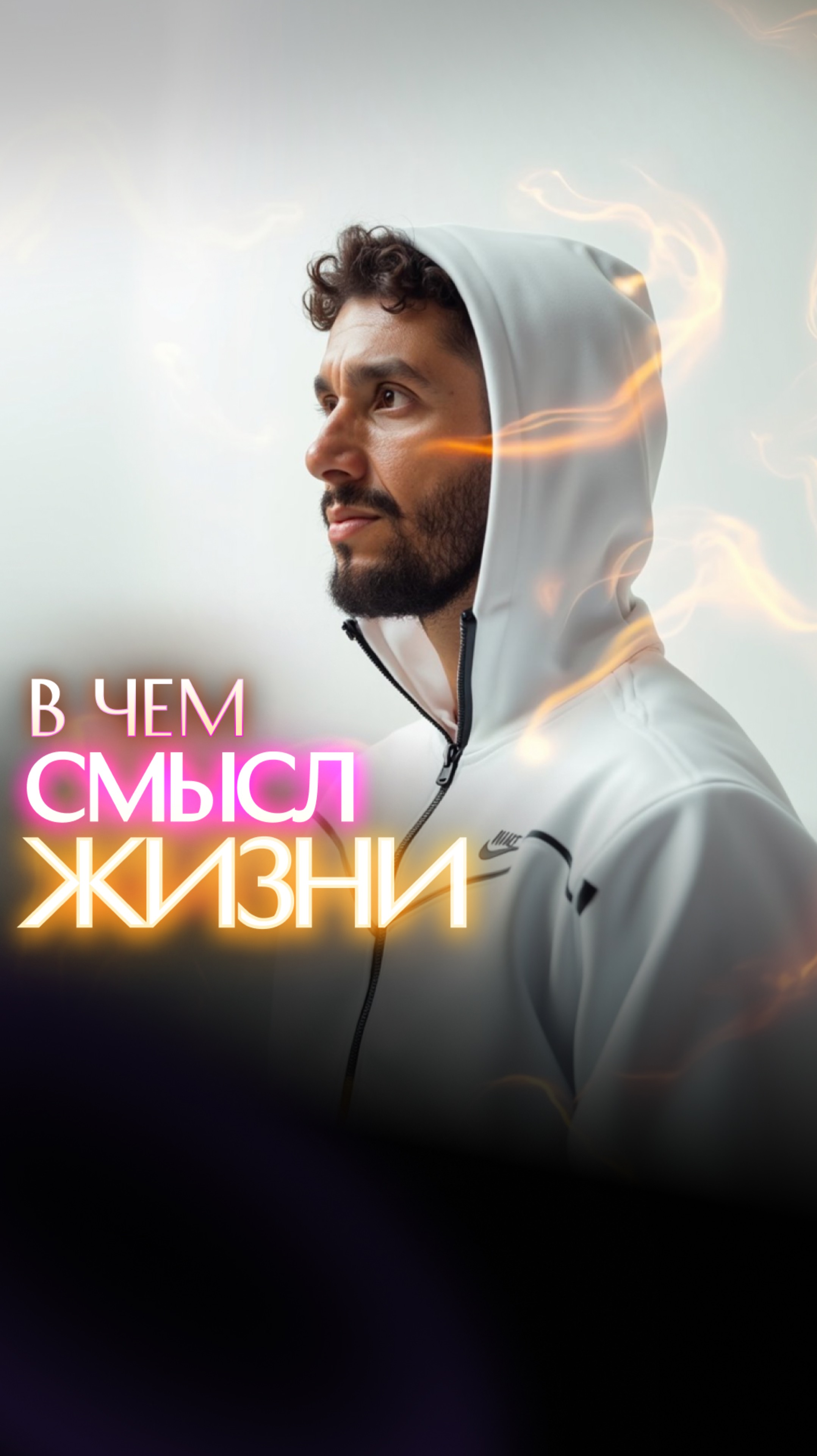 В ЧЕМ СМЫСЛ ЖИЗНИ? смотреть онлайн