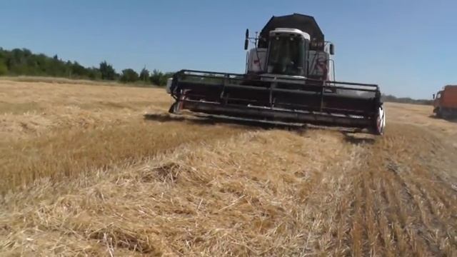 В Веселовском районе ждут рекордного урожая