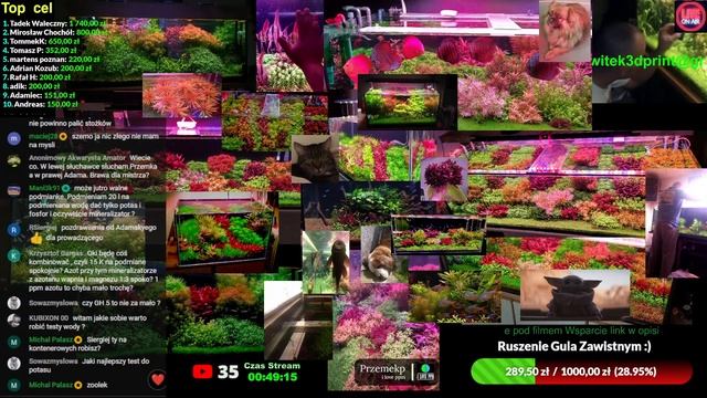 Live Akwarystyczny 13.02.24r смотреть онлайн