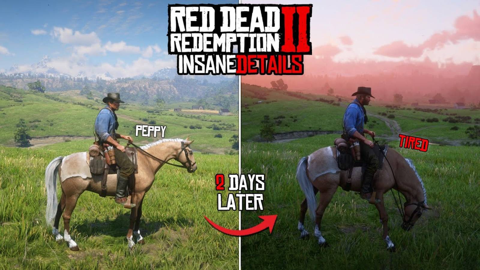 18 Безумных деталей в Red Dead Redemption 2 (Часть 2) смотреть онлайн