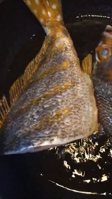 Big Fish Fried. #shorts