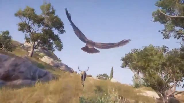 Assassin's Creed Odyssey, Lets Fight For Sparta! смотреть онлайн