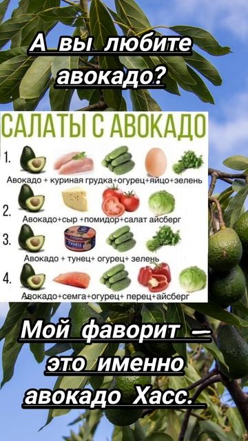 А вы любите авокадо?🥑 смотреть онлайн