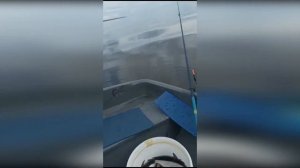 Ловим плотву на Ладоге в Кобоне. Рыбалка в Ленинградской области