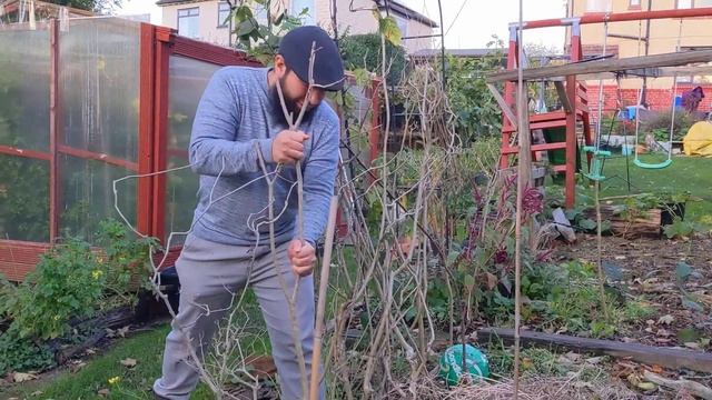 What Can I Grow In November - What To Plant In November - Autumn Sowing Guide смотреть онлайн